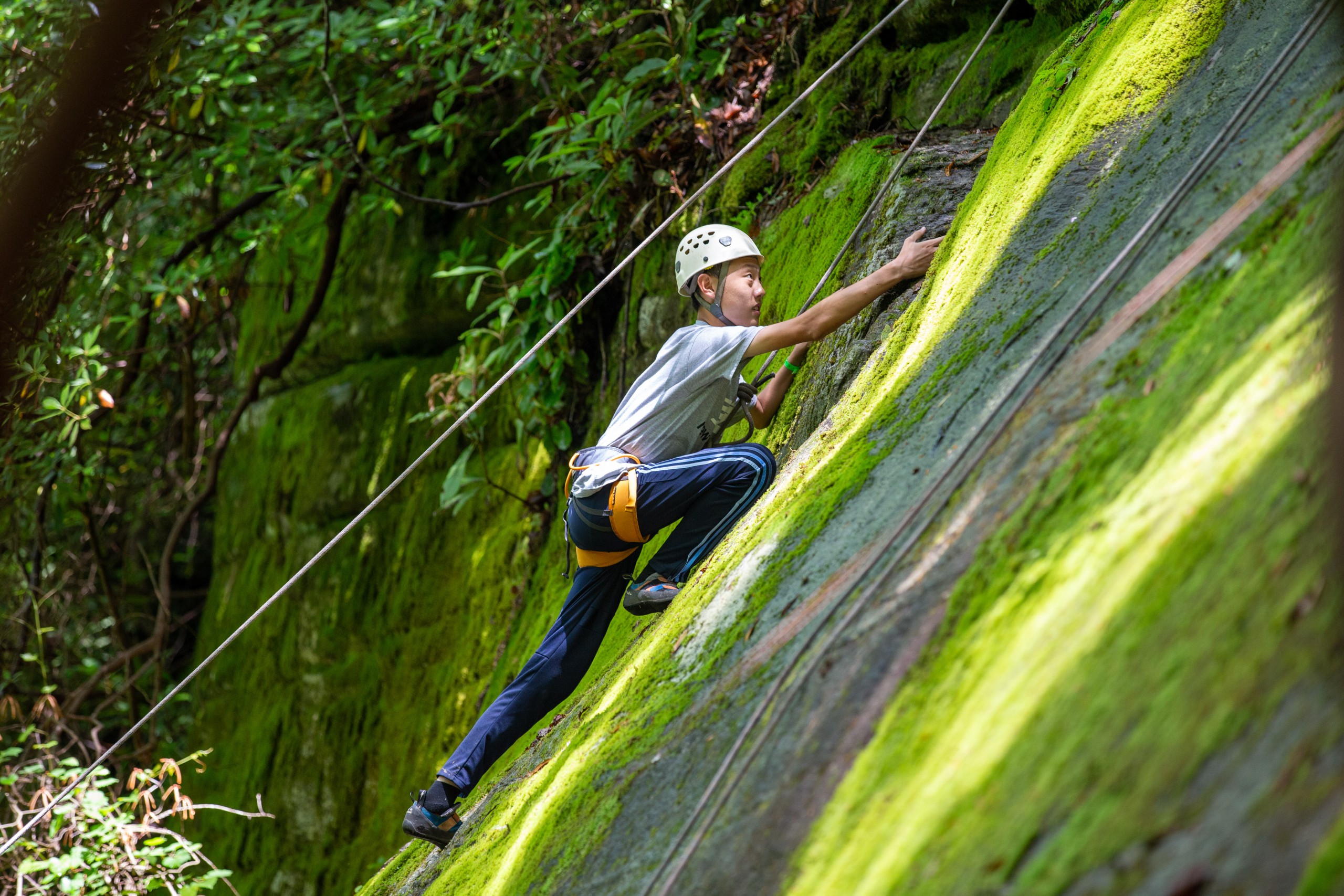 Image of student climbing